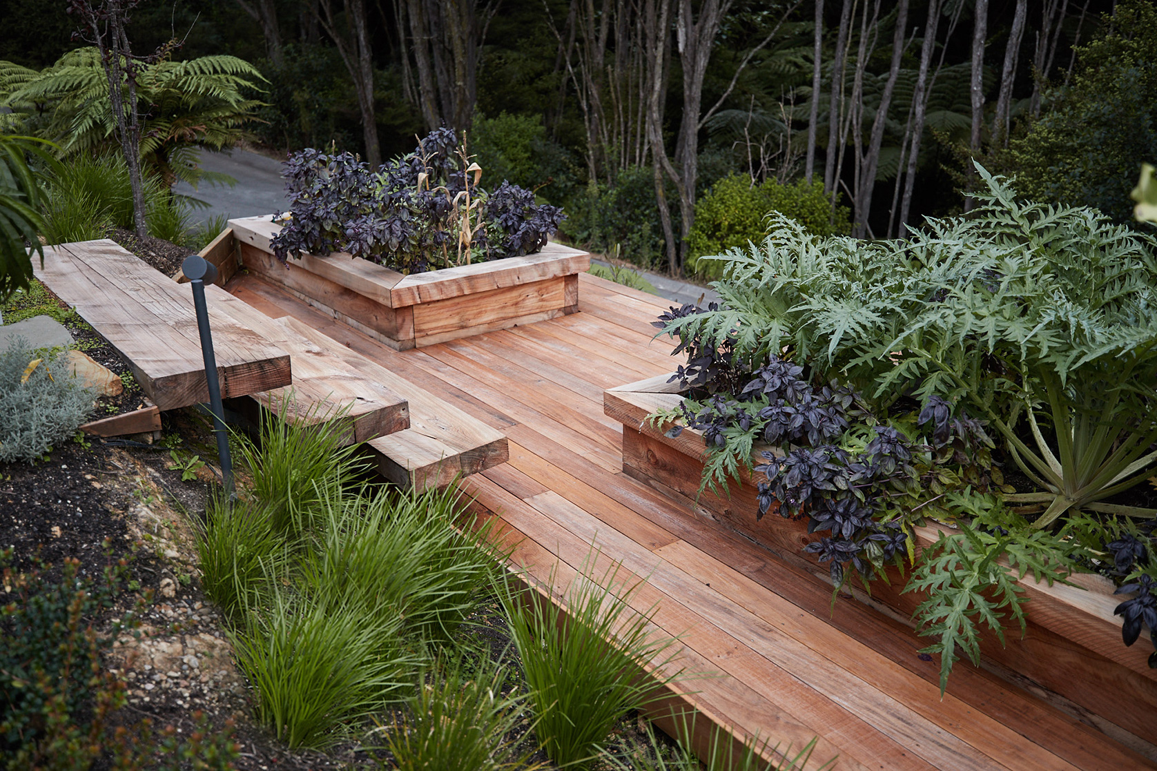 Garden design Greenhithe Auckland | Branche Landscapes