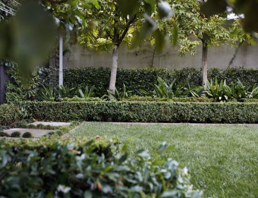 Landscaping Parnell 8